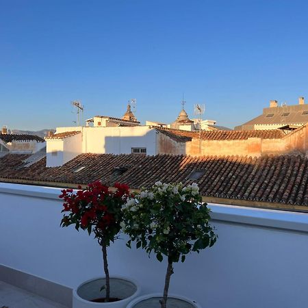 Atarazanas Suite, Atico Con Terraza Málaga Dış mekan fotoğraf